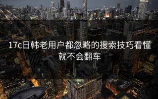 17c日韩老用户都忽略的搜索技巧看懂就不会翻车