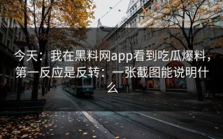 今天：我在黑料网app看到吃瓜爆料，第一反应是反转：一张截图能说明什么
