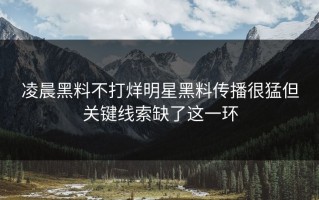 凌晨黑料不打烊明星黑料传播很猛但关键线索缺了这一环