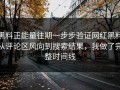 黑料正能量往期一步步验证网红黑料从评论区风向到搜索结果，我做了完整时间线