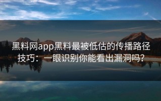 黑料网app黑料最被低估的传播路径技巧：一眼识别你能看出漏洞吗？