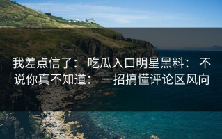 我差点信了： 吃瓜入口明星黑料： 不说你真不知道： 一招搞懂评论区风向