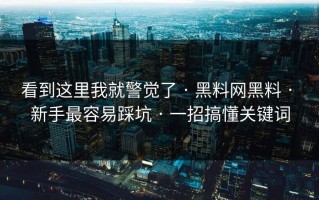 看到这里我就警觉了 · 黑料网黑料 · 新手最容易踩坑 · 一招搞懂关键词