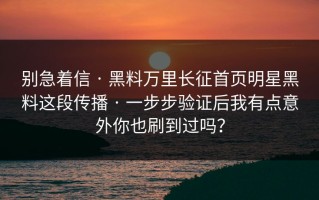 别急着信 · 黑料万里长征首页明星黑料这段传播 · 一步步验证后我有点意外你也刷到过吗？